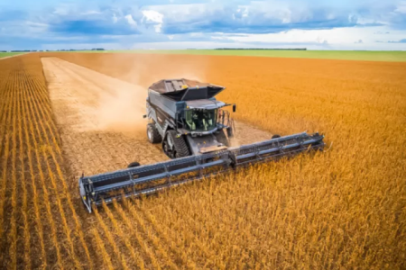 A história por trás dos fertilizantes químicos e orgânicos