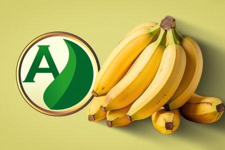 Banana: O fruto que impulsiona a agricultura e economia brasileira