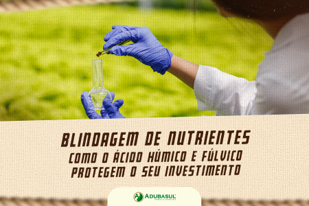 Blindagem de nutrientes: como o ácido húmico e fúlvico protegem o seu investimento