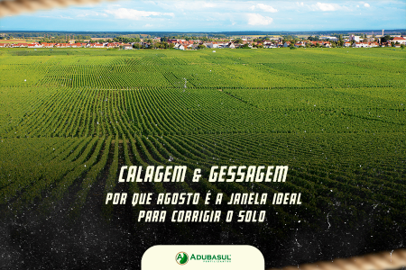 Calagem e Gessagem: Por Que Agosto é a Janela Ideal Para Corrigir o Solo