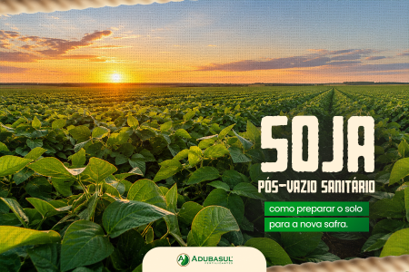 Soja pós-vazio sanitário: como preparar o solo para a nova safra