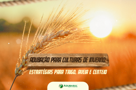 Adubação para Culturas de Inverno: Estratégias para Trigo, Aveia e Centeio
