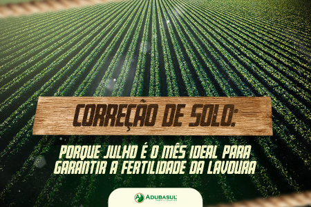 Correção de solo: Porque julho é um mês estratégico para sua lavoura