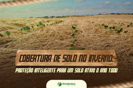 Cobertura de solo no inverno: proteção inteligente para um solo ativo o ano todo.