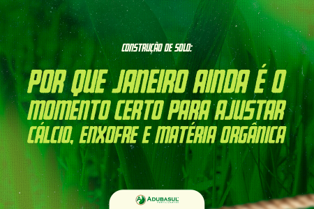 Começo de ano com mais energia: combos de suplementos que potencializam imunidade e disposição