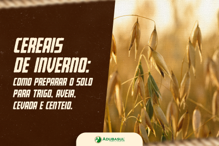 Cereais de inverno: como preparar o solo para trigo, aveia, cevada e centeio