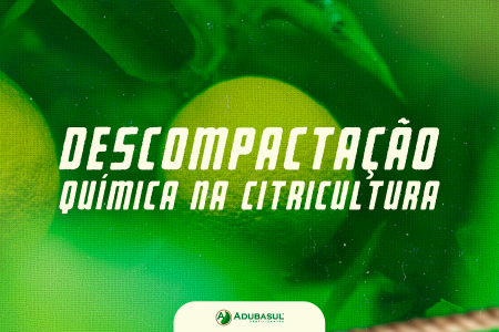 O desafio invisível: como a descompactação química garante pomares duradouros
