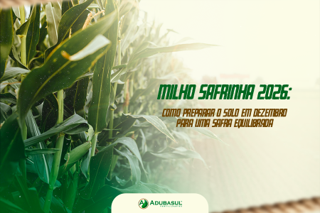 Milho safrinha 2026: como preparar o solo em dezembro para uma safra equilibrada