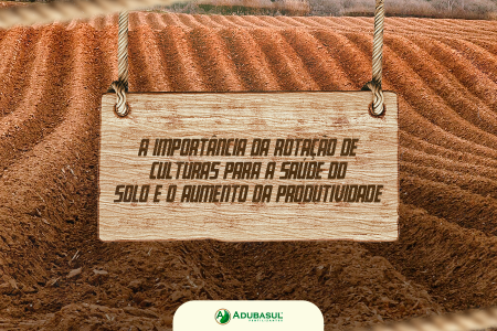 A Importância da Rotação de Culturas para a Saúde do Solo e o Aumento da Produtividade