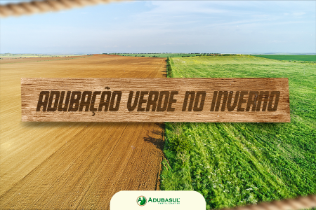 Adubação verde no inverno: solo protegido, produtividade garantida.