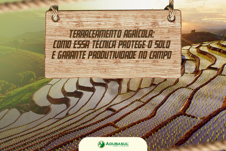 Terraceamento agrícola: como essa técnica protege o solo e garante produtividade no campo