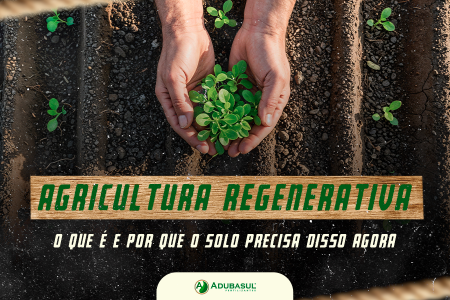 Agricultura regenerativa: o que é e por que o solo precisa disso agora