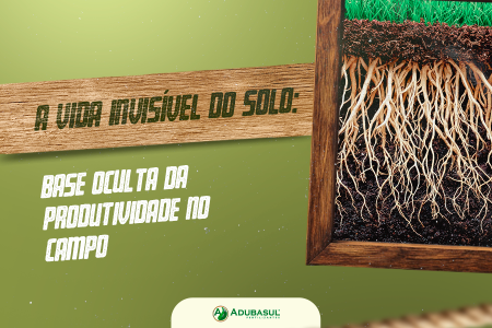 A vida invisível do solo: base oculta da produtividade no campo