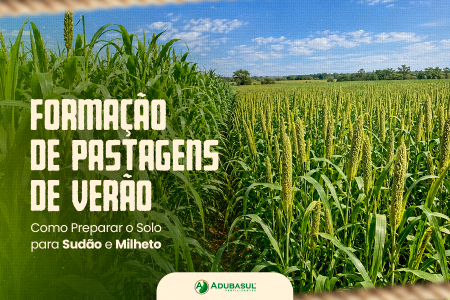 Formação de Pastagens de Verão: Como Preparar o Solo para Sudão e Milheto