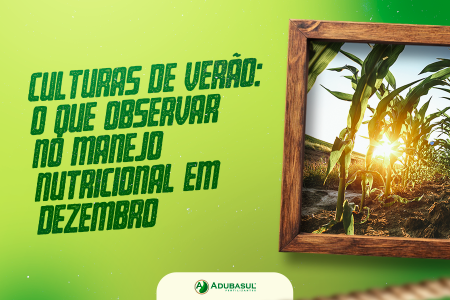 O sucesso da colheita começa na nutrição feita agora