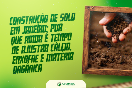 Construção de Solo em Janeiro: por que ainda é tempo de ajustar cálcio, enxofre e matéria orgânica