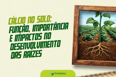 Cálcio no solo: função, importância e impactos no desenvolvimento das raízes