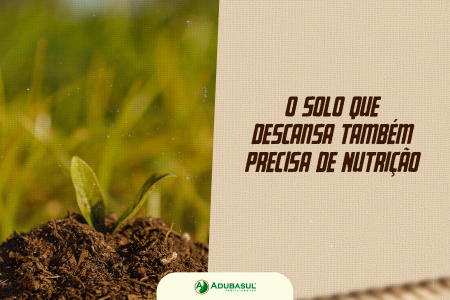  O Solo que Descansa Também Precisa de Nutrição: como cuidar da sua área no inverno