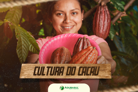 Conheça a Cultura do Cacau!