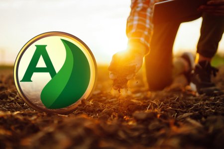 Conservação do solo é essencial para melhorar a produção agrícola