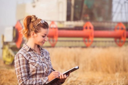 Administração rural: os principais impostos obrigatórios na tributação do produtor