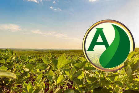 Agronegócio: como aproveitar o crescimento constante desse setor