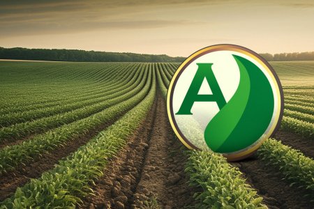 Escolha de adubos formulados: O caminho para uma agricultura de sucesso