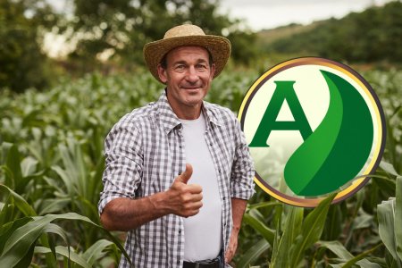Agronegócio: confira 5 dicas para vencer a inflação