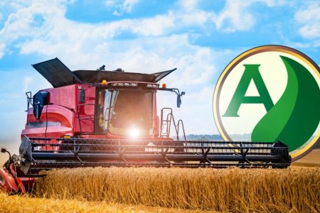 5 dicas para ter sucesso na sua lavoura de trigo