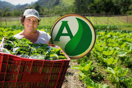 Mulheres em destaque na agricultura familiar