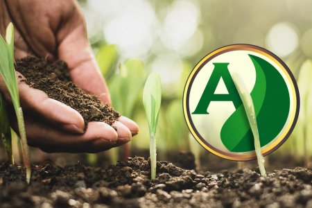 Plano Nacional de Fertilizantes: o que é e como funciona