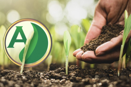 Plano Nacional de Fertilizantes: entenda o que é e como ele afeta a importação de insumos