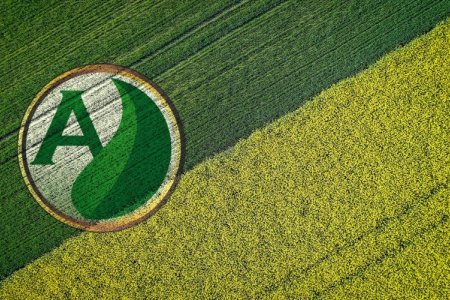 Como escolher plantas de cobertura: confira dicas da Adubasul