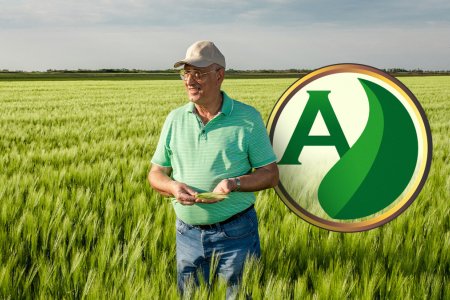 Colha os benefícios do plantio direto: uma técnica eficiente, sustentável e rentável.