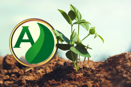 O solo como cenário agrícola: Um palco de equilíbrio químico