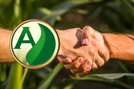 A Adubasul: cultivando sucesso no agronegócio brasileiro