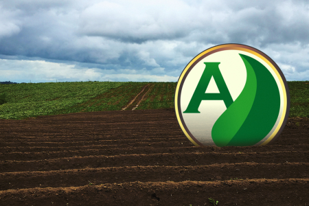 Tipos de solos brasileiros: Conheça a diversidade e características de nossos solos