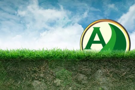 Microbiologia do solo: como ela afeta o sucesso da sua lavoura?