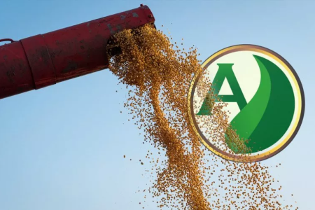 Cultura da soja: como potencializar os resultados da safra