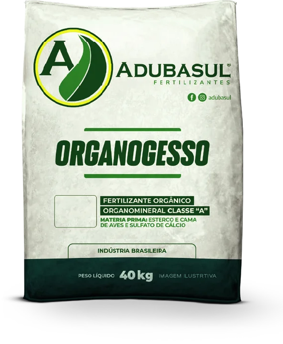 OrganoGesso